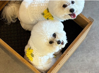 犬猫などペット用のアイテム