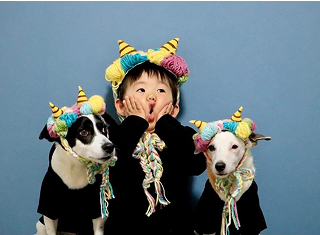 季節やイベントにちなんだアイテム