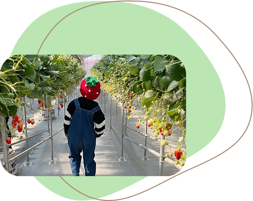 幼稚園の先生として働いていたころ