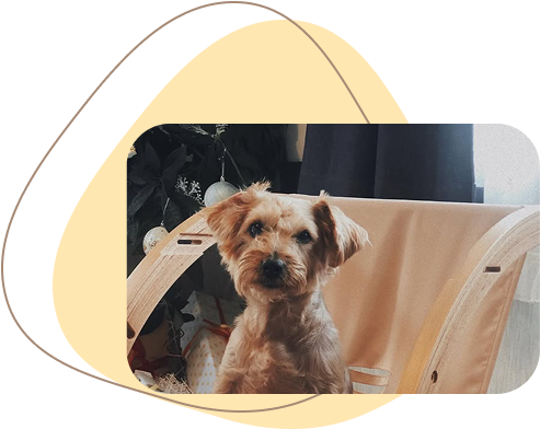 幼稚園の先生として働いていたころ