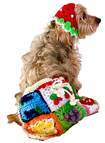 フルーツのオリジナル服