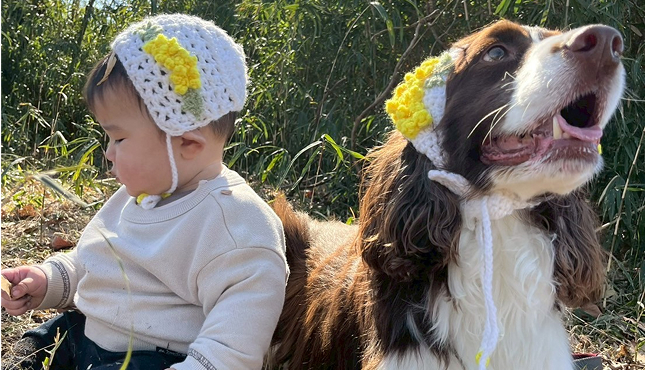 愛犬も嫌がらなかった!